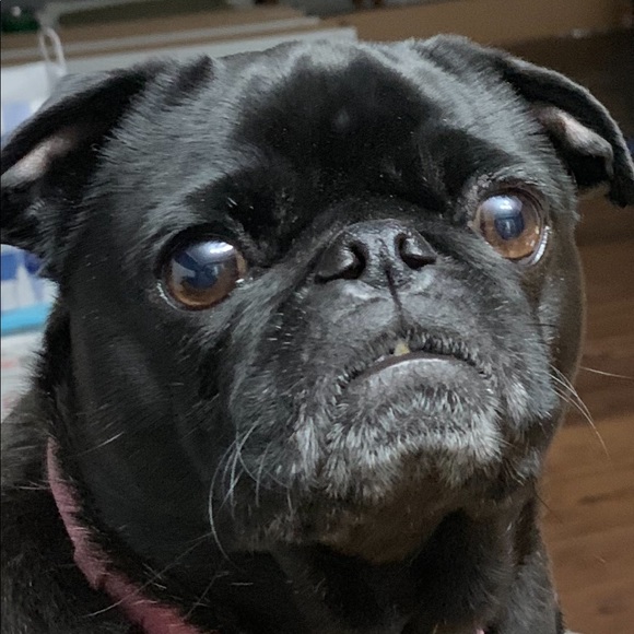 Meet your Posher, Lynn - Picture 1 of 1